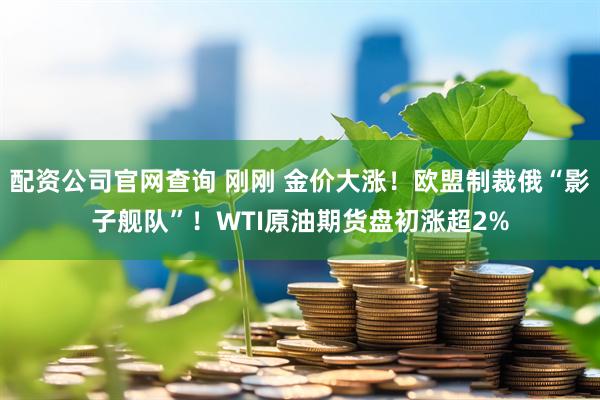 配资公司官网查询 刚刚 金价大涨！欧盟制裁俄“影子舰队”！WTI原油期货盘初涨超2%