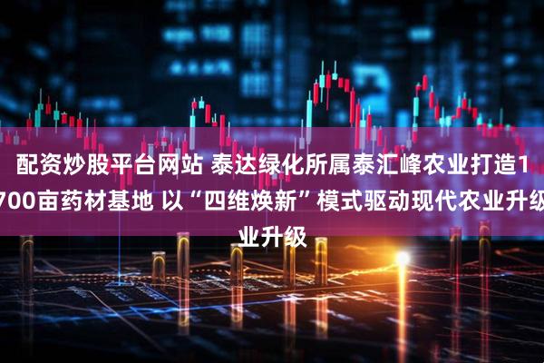 配资炒股平台网站 泰达绿化所属泰汇峰农业打造1700亩药材基地 以“四维焕新”模式驱动现代农业升级